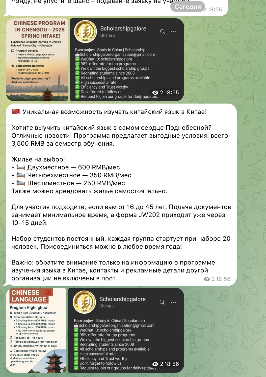 Пример блога 4