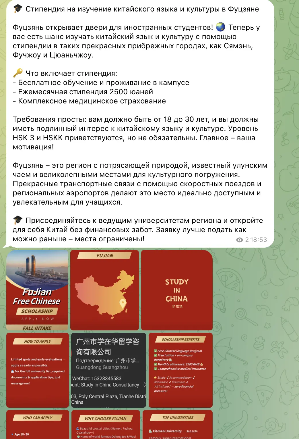 Пример блога 5